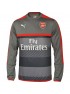 Arsenal sweat offcial grijs 2016/2017